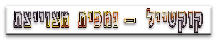  מסוגים שונים -3 .jpg